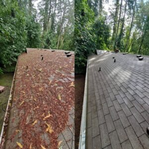 Roof Cleaning