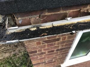 Gutter cleaning